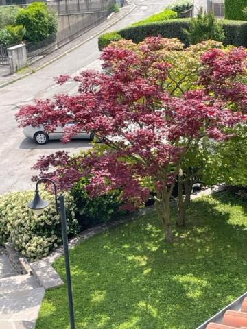 La Casa In Collina Lägenhet Caprino Veronese Exteriör bild
