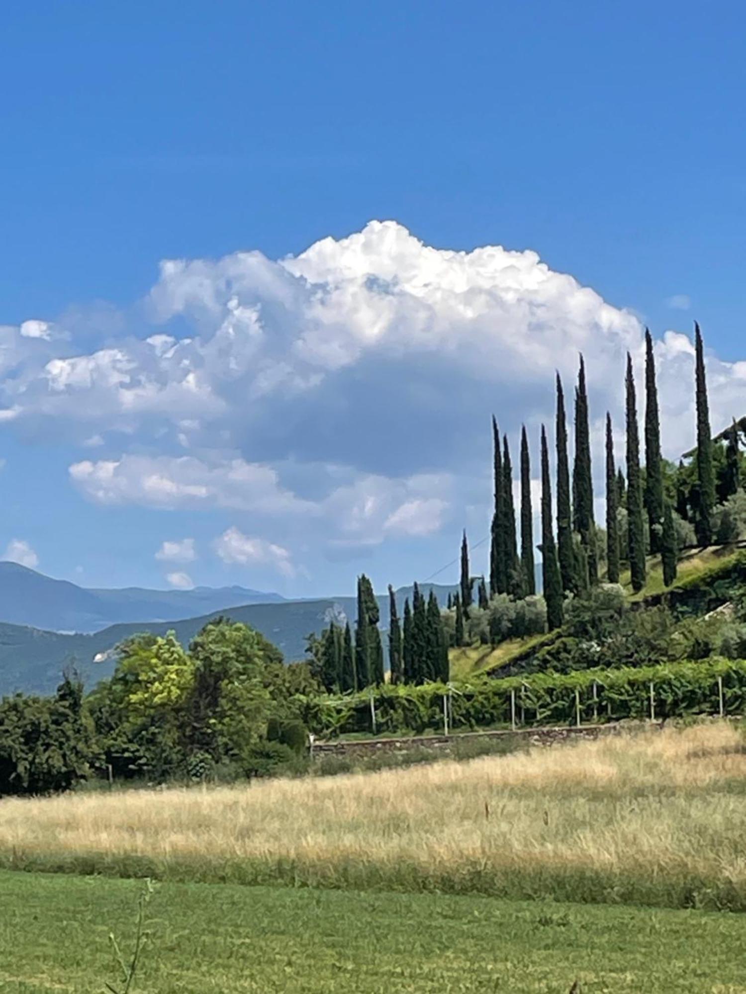 La Casa In Collina Lägenhet Caprino Veronese Exteriör bild